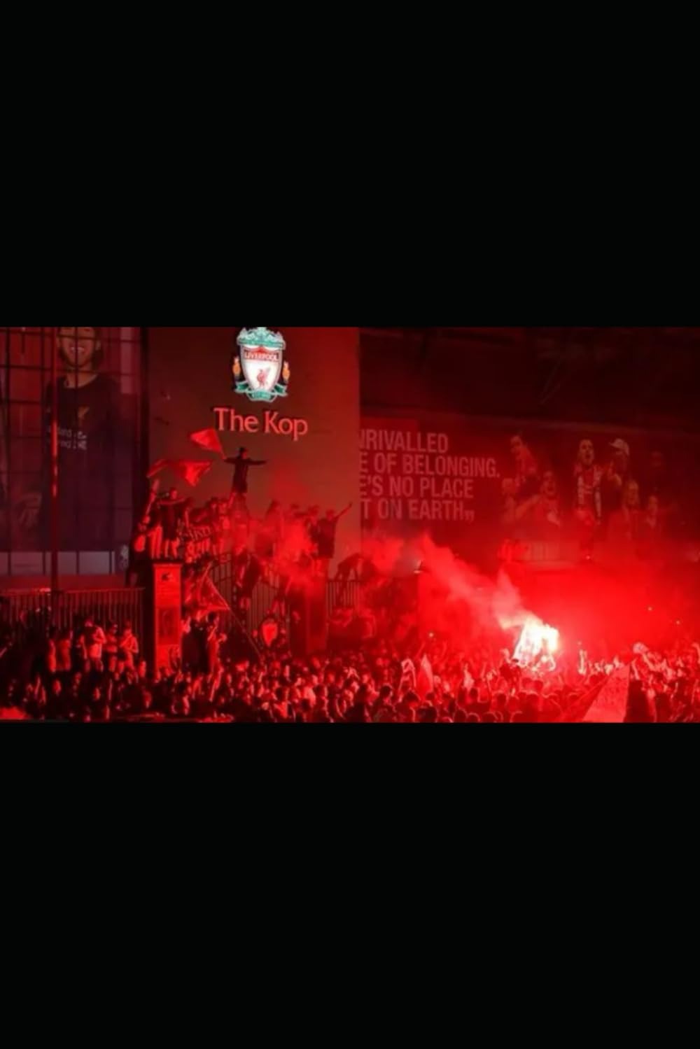 Red and White Love Book Cover